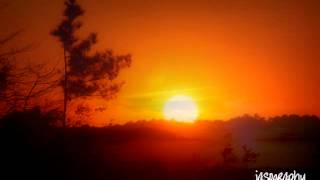 Dear Mama, You Will Always be My Sunshine