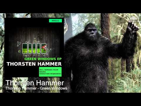 Thorsten Hammer - Green Windows