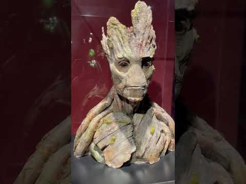 Groot Bust #marvel #superheroes #iamgroot @beversfamilyadventures2577