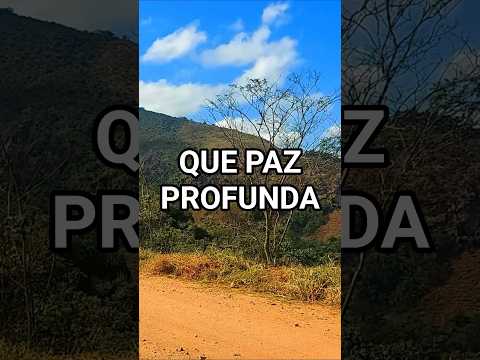 Paz para sua alma - Flauta Duduk e Quena #pazinterior #relaxamento