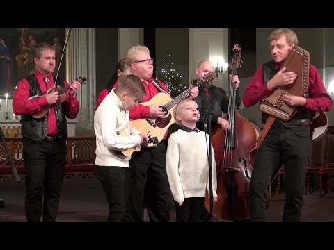 EKE MIHKEL VAINU, UKU MADIS VAINU (ukulele) & ROBIROHI (2016) - Taas me ootame talve