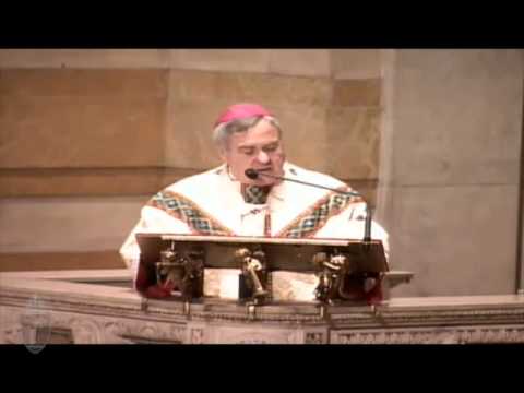 Mass of Thanksgiving Homily