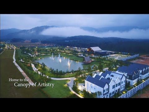 Eco Forest video