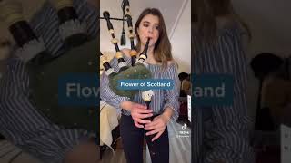 Flower of Scotland on Bagpipes