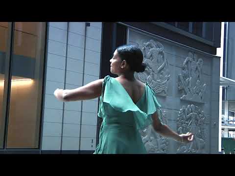 The Fall - a film by Jack Brooks with music from Roseland En Why Cee