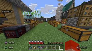 [マインクラフト]のんびりいきます[参加型]本日リスナー限定