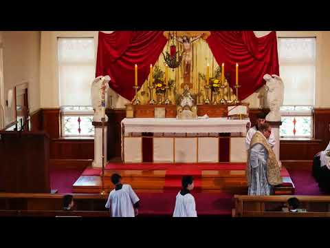 SSPXNZLIVE Livestream - 19 May 2019 High Mass