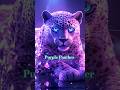 Purple Panther is Amazing #ai #animalart #cuteanimal #shortvideo #fyp #panther  #purple