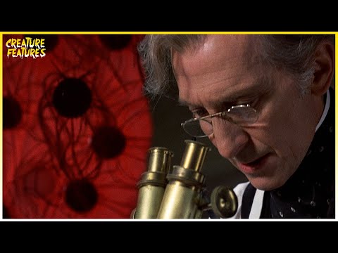 Blood From The Newly Formed Flesh | The Creeping Flesh | Creature Features