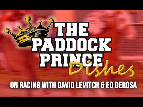 Aqueduct Picks Avoid These Common Pitfalls For Beginners