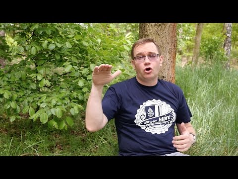 Jako członek bardzo realnego wzrostu Gruby facet z małym penisem