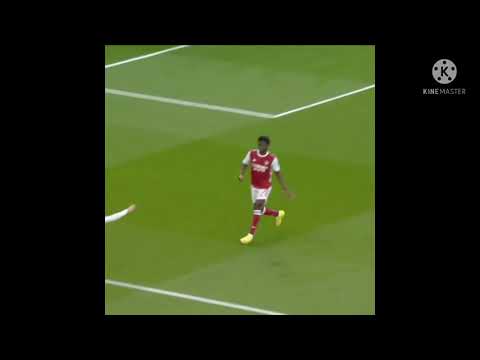 Erik lamela wins the puskas award for this🥇