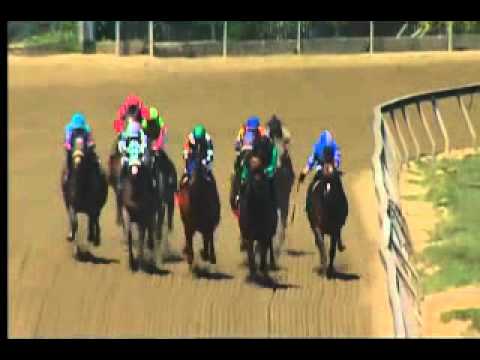Pimlico 05/15/15 race 6 - 1st running of the the Sgt. Reckless Memorial Dash