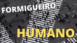 FORMIGUEIRO HUMANO - REMIX - HUMAN ANTHILL