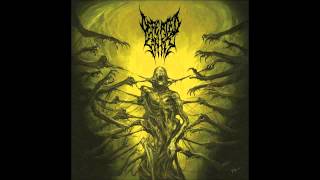 Defeated Sanity - Martyrium