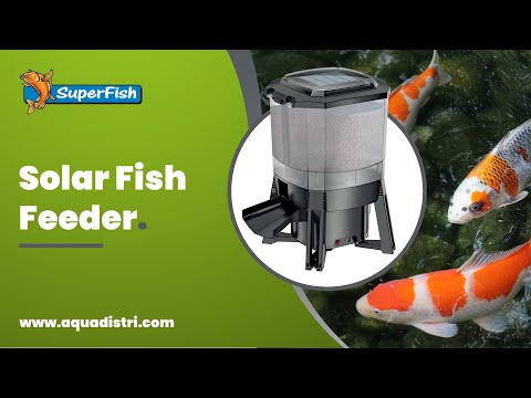 Watch Video on YouTube