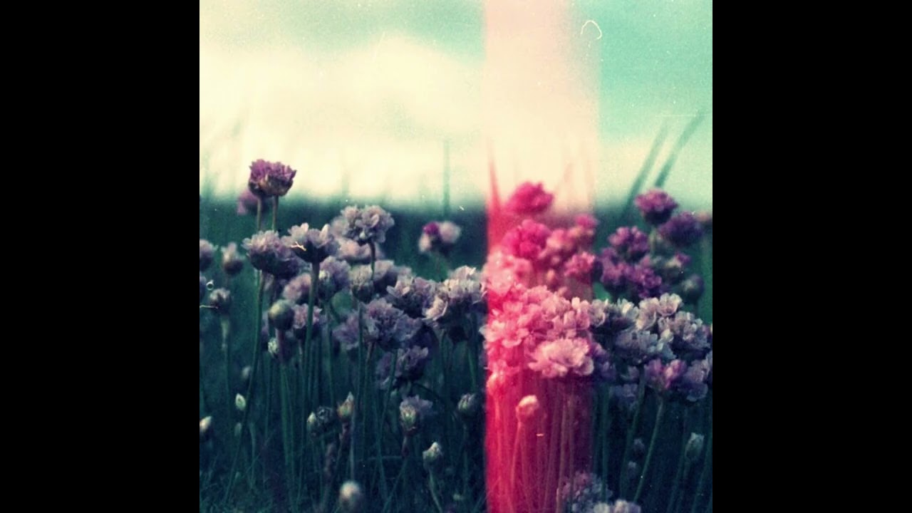 bvdub - The Catastrophe Machine