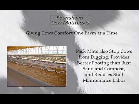 Petersheim Cow Mattress