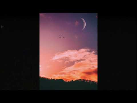 [SOLD] skele x nothing,nowhere. type beat | "cedar"