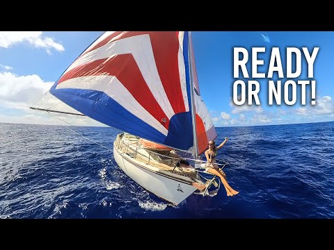 Delos is SAILING AGAIN, Let's Goooo! Sailing Vessel Delos Ep. 516