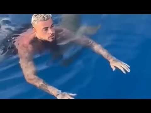 Die schwierigen und letzten Momente, die der russische Tourist mit einem Hai in Hurghada erlebt