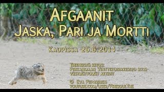preview picture of video 'Afghans Jaska, Pari & Mortti @ Kauppi Tampere'