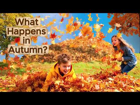 What Happens in Autumn? – Fall Leaves Story and Rhyme