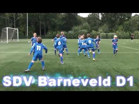 Intro SDVB D1 2012-2013