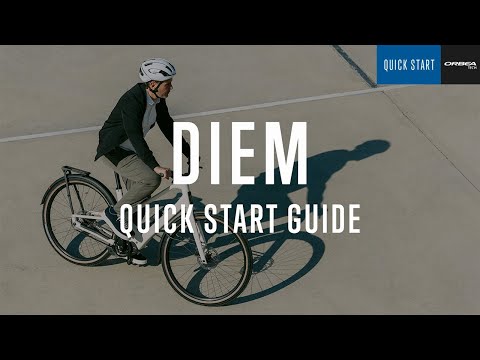 DIEM - Quick Start Guide