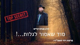 מה הסוד שכל אחד רוצה לדעת...? | פרשת ויחי תשפ"ד | הרב פנחס קדיש
