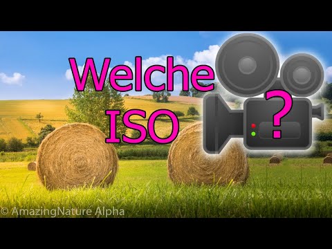 FILMEN LERNEN #3 🧐 Alles über die ISO für Videofilmer | ISO 100 oder 1000?