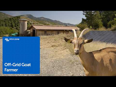 How this goat farmer uses solar up in the French Alps