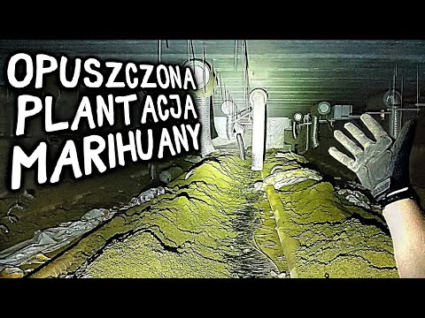 OPUSZCZONA PLANTACJA WARTA MILIONY - Urbex POV
