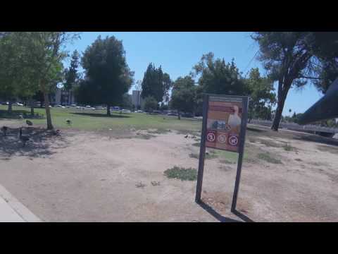 Exploring the Valley: Reseda Lake Park
