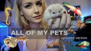 How Many Animals Do I Own? (ROOM TOUR)