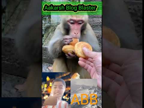 Aakarsh kumar jha|| Monkey|| How monkey is eating.
