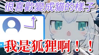 可愛的貓咪（＾∇＾）【hololive/ホロライブ】【白上フブキ】【vtuber中文翻譯】