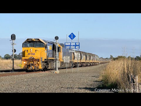 9158 Broad Gauge Pacific National Grain With XR558 & BL29 (20/4/2023) - PoathTV Australian Trains
