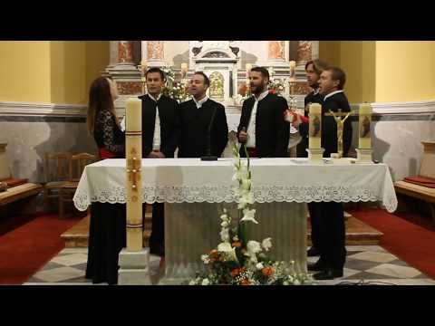 Klapa Dingač - lipo ime