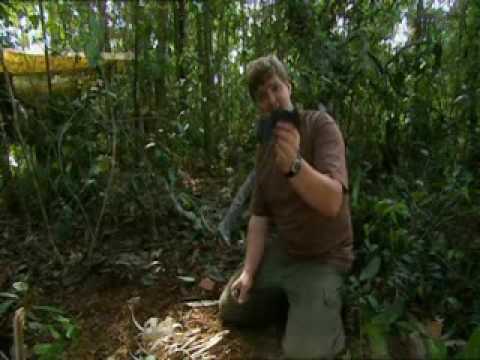 The Pemon Ray Mears Bushcraft S1E3 part 3