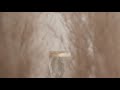 Umage-Hazel-Pendant-Light-LED-medium---white YouTube Video