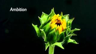 International Womens Day 2016: A Message to the Women of WIZO