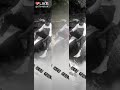 Sufiyan Video