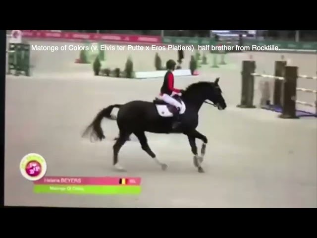 Half brother from Rocktille