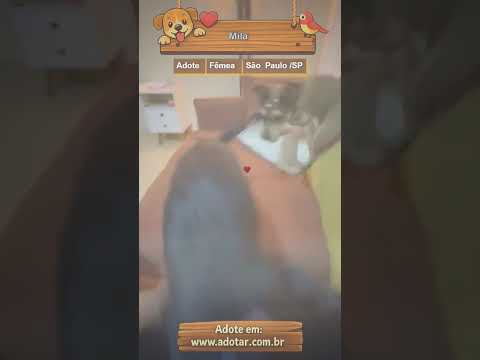 Vídeo de Mila