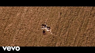 The Womb, Stereo Express - Wild Dogs