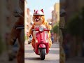 Chubby Orange Cat Falls For A Girl And The Road Hits Back Cat Orangecat