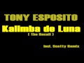 TONY ESPOSITO - Kalimba De Luna (RECALL ...