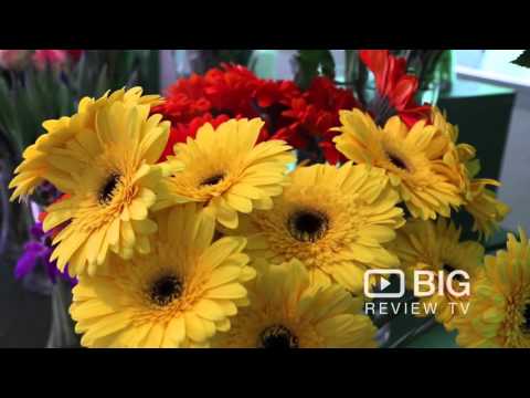 Alyssiums on Pirie Flower Shop in Adelaide SA for Florist and Bouquet