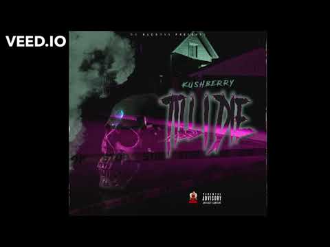 Till I Die - Kushberry